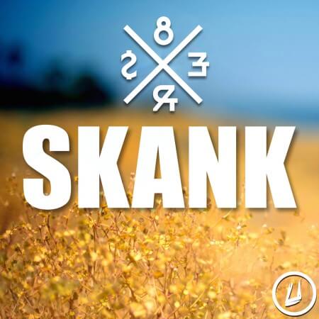 Cover for 8Er$ - Skank