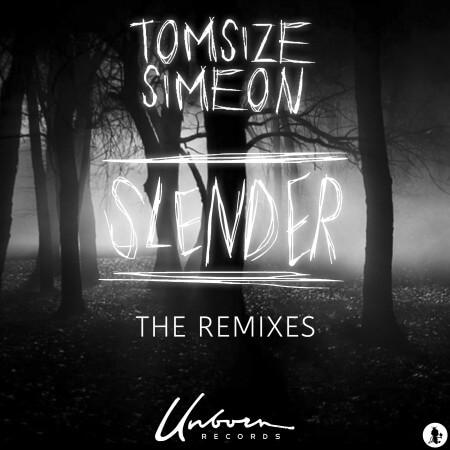 Cover for Tomsize & Simeon - Slender (Besnine Remix)