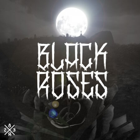 Cover for 8er$ - Black Roses