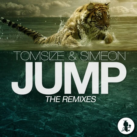 Cover for Jump (The Remixes)